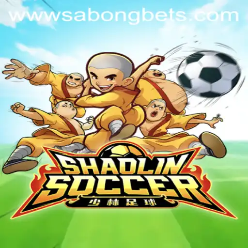 Mastering ShaolinSoccer: A Dynamic Fusion of Martial Arts and Soccer